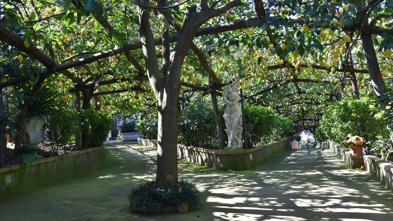 Photo of Outdoor in Massa Lubrense