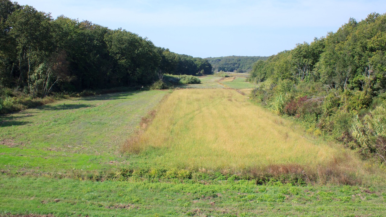 Photo of Outdoor in Guasticce