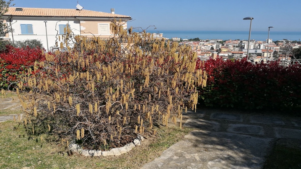 Photo of Outdoor in Tortoreto