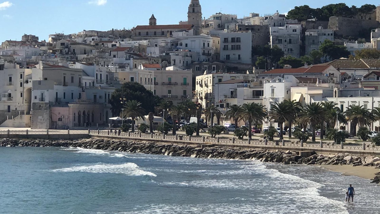 Photo of Others in Vieste