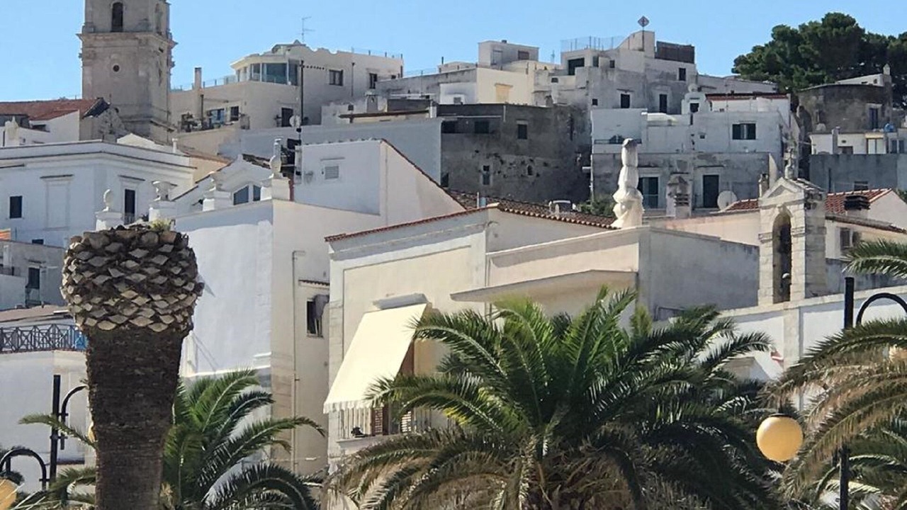 Photo of Outdoor in Vieste
