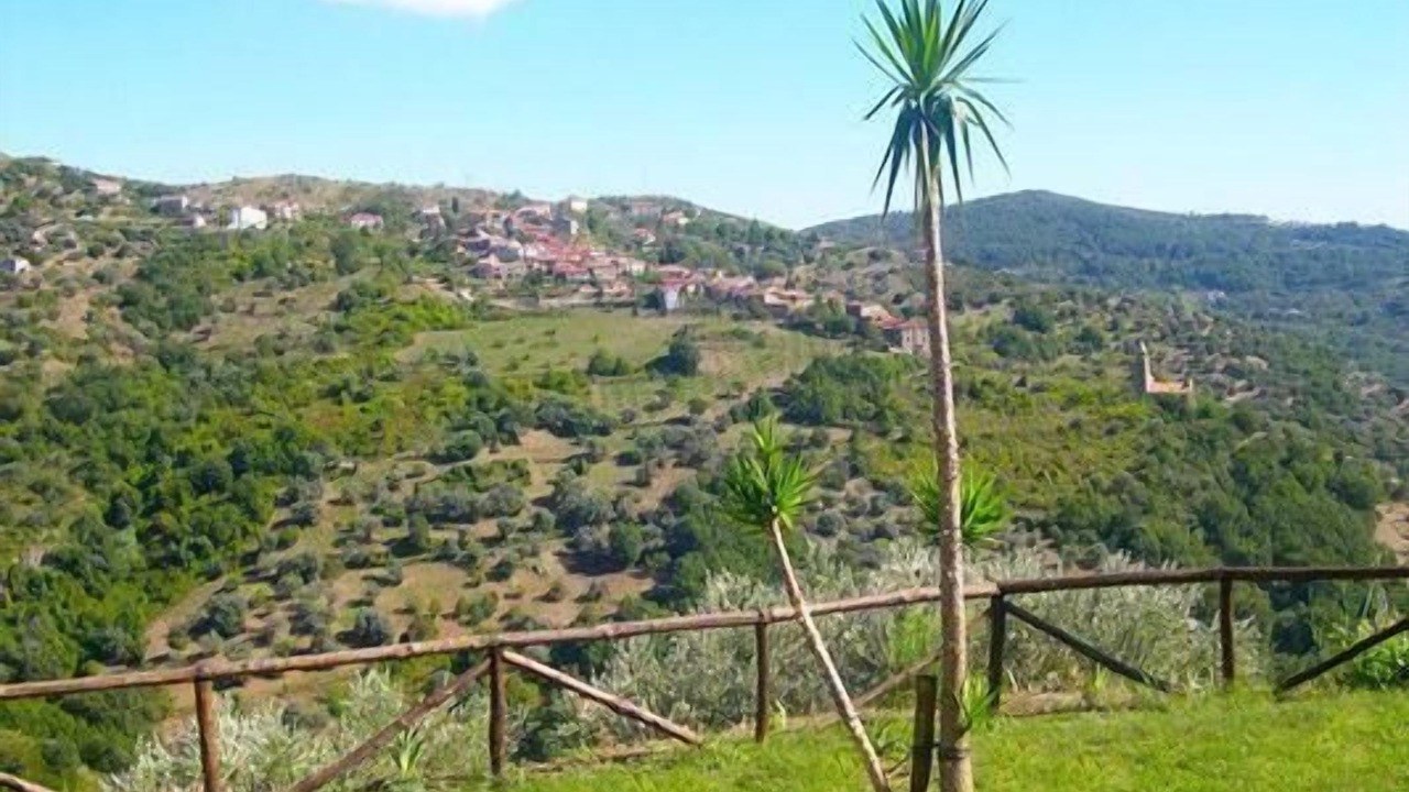 Photo of Others in San Mauro Cilento