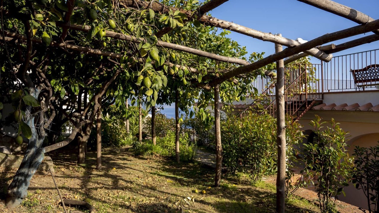 Photo of Outdoor in Conca dei Marini