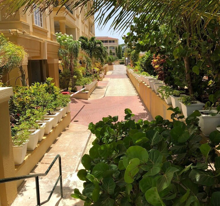 Photo of Buildings in St. Lawrence Gap