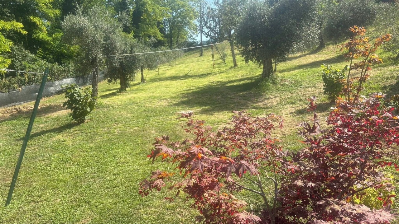 Photo of Outdoor in SantʼAngelo in Pontano