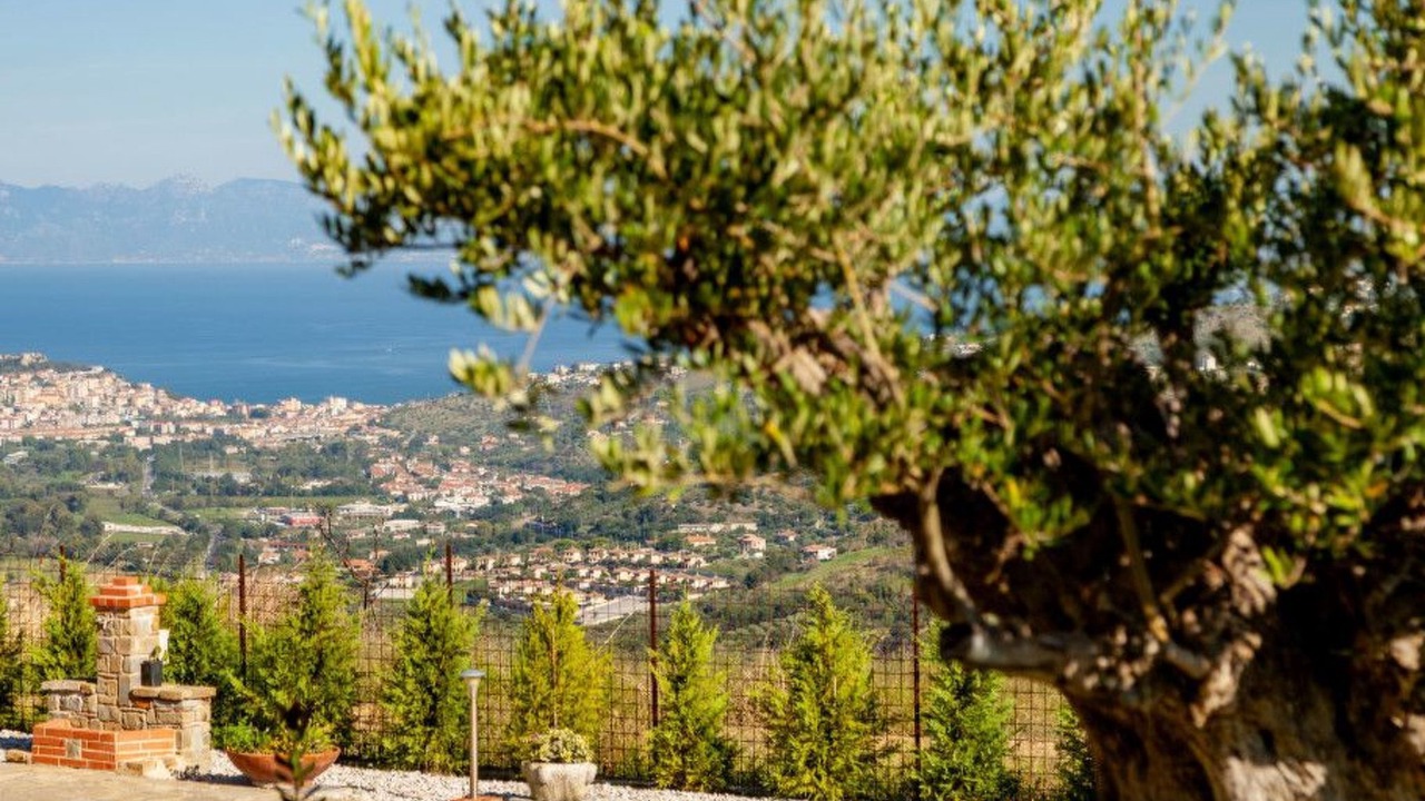 Photo of Others in Laureana Cilento