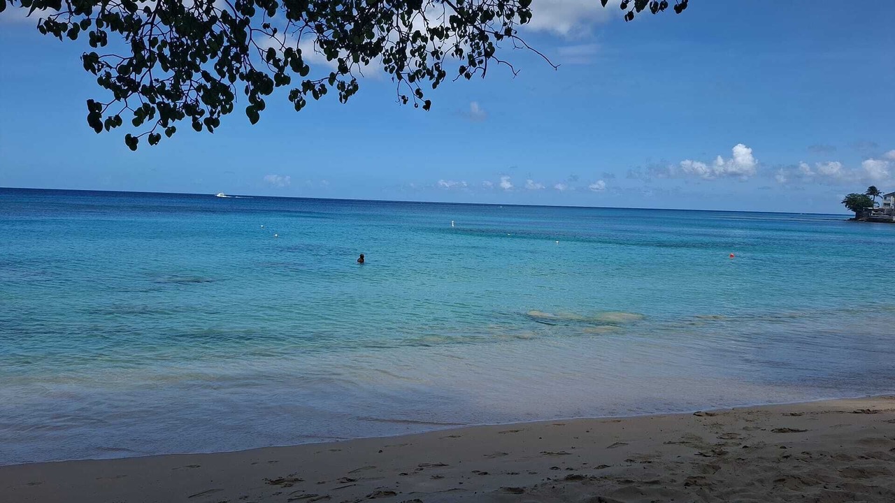Photo of Others in Lower Carlton Beach