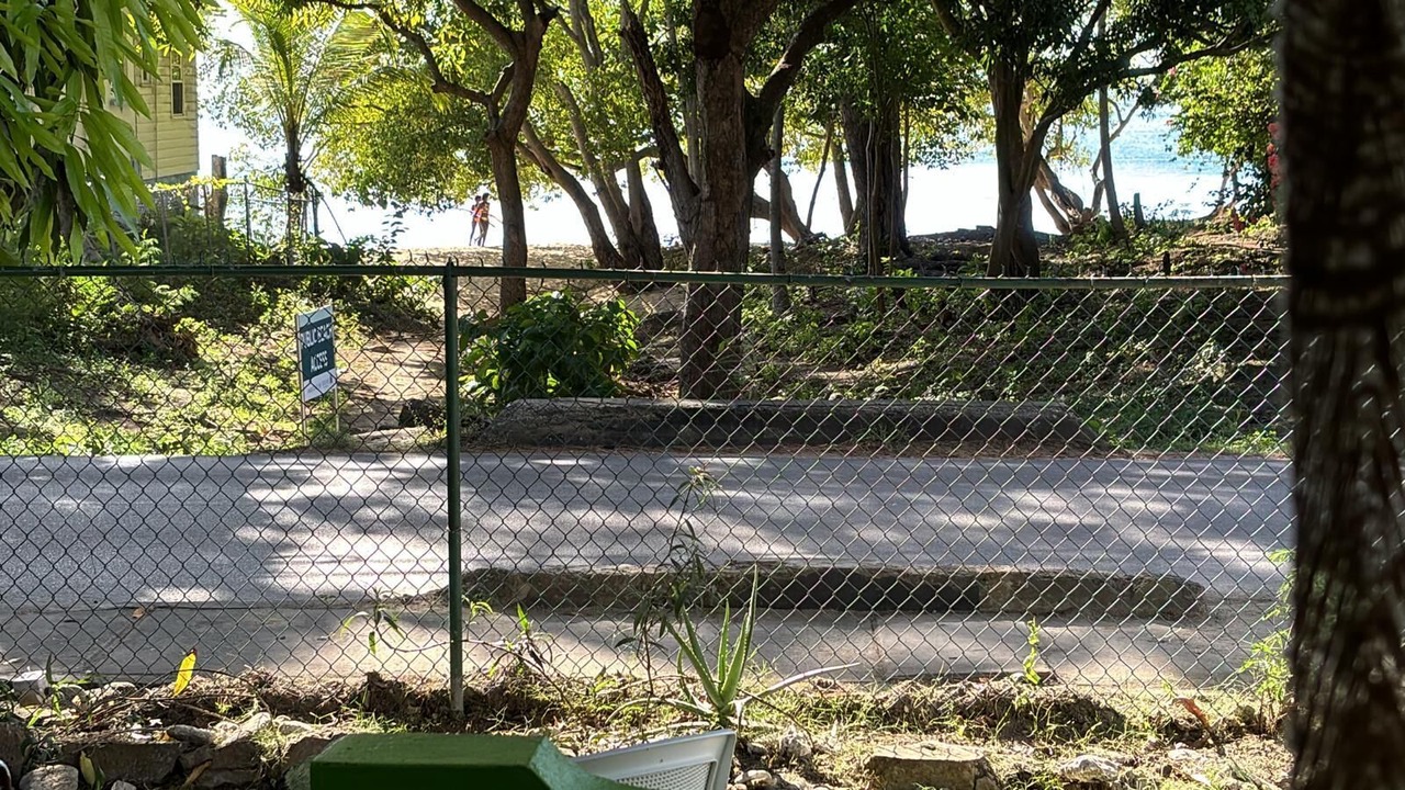 Photo of Outdoor in Lower Carlton Beach