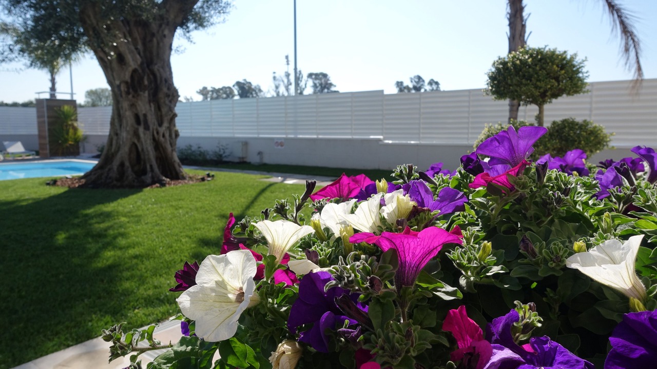 Photo of Outdoor in Magazzeno
