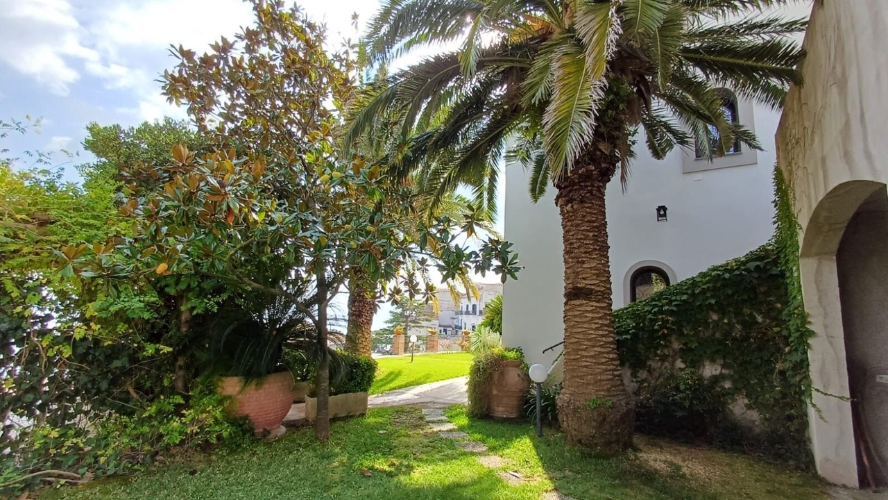 Photo of Outdoor in Raito
