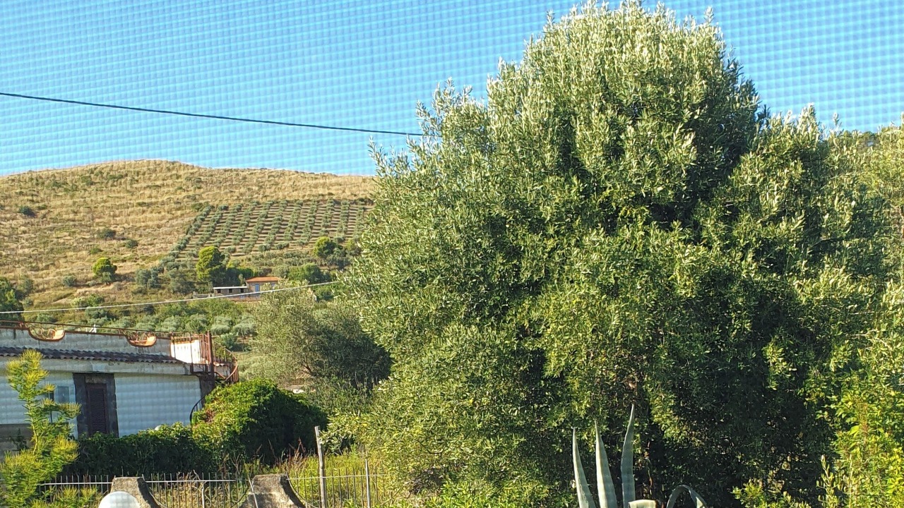Photo of Outdoor in Alani