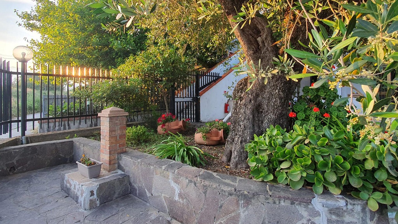 Photo of Others in Casal Velino