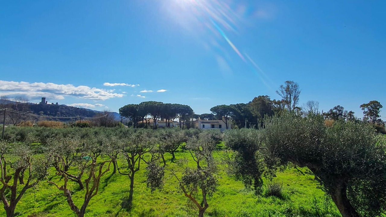 Photo of Bedroom in Casal Velino