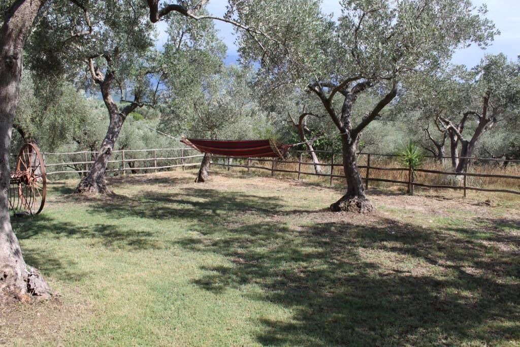 Photo of Outdoor in Campagna