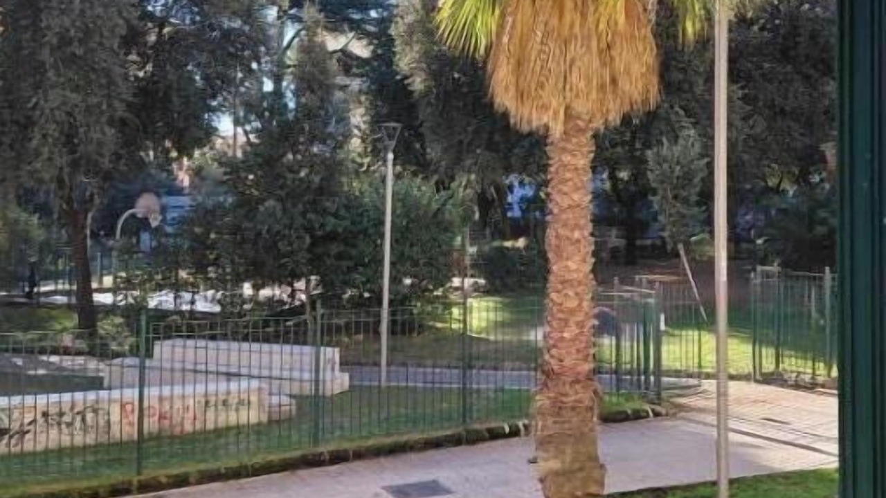 Photo of Outdoor in Arenella