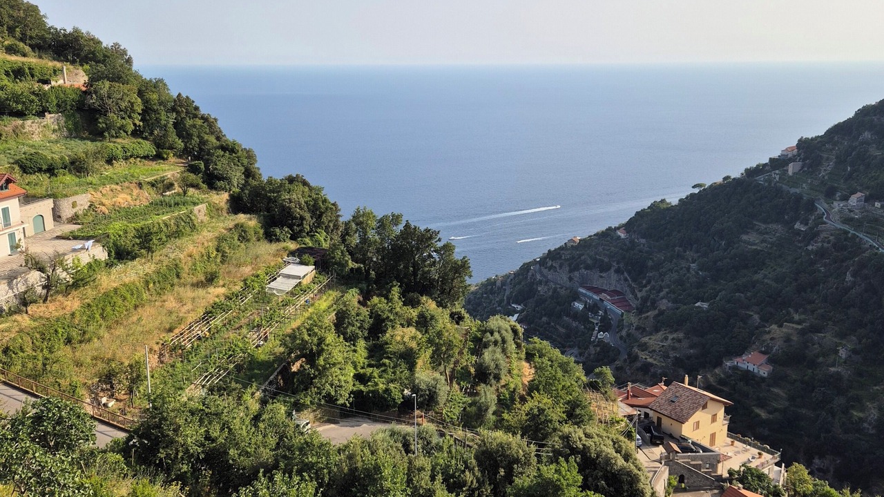 Photo of Outdoor in San Lazzaro