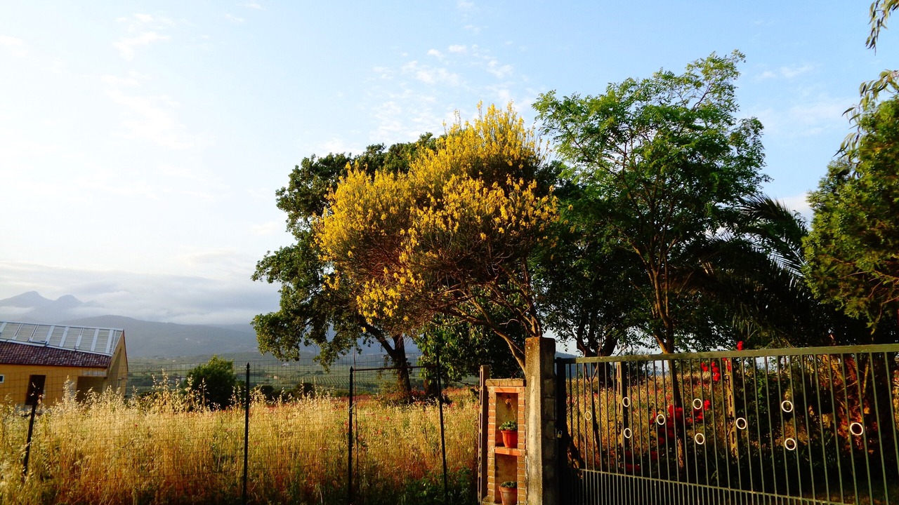 Photo of Outdoor in Serre