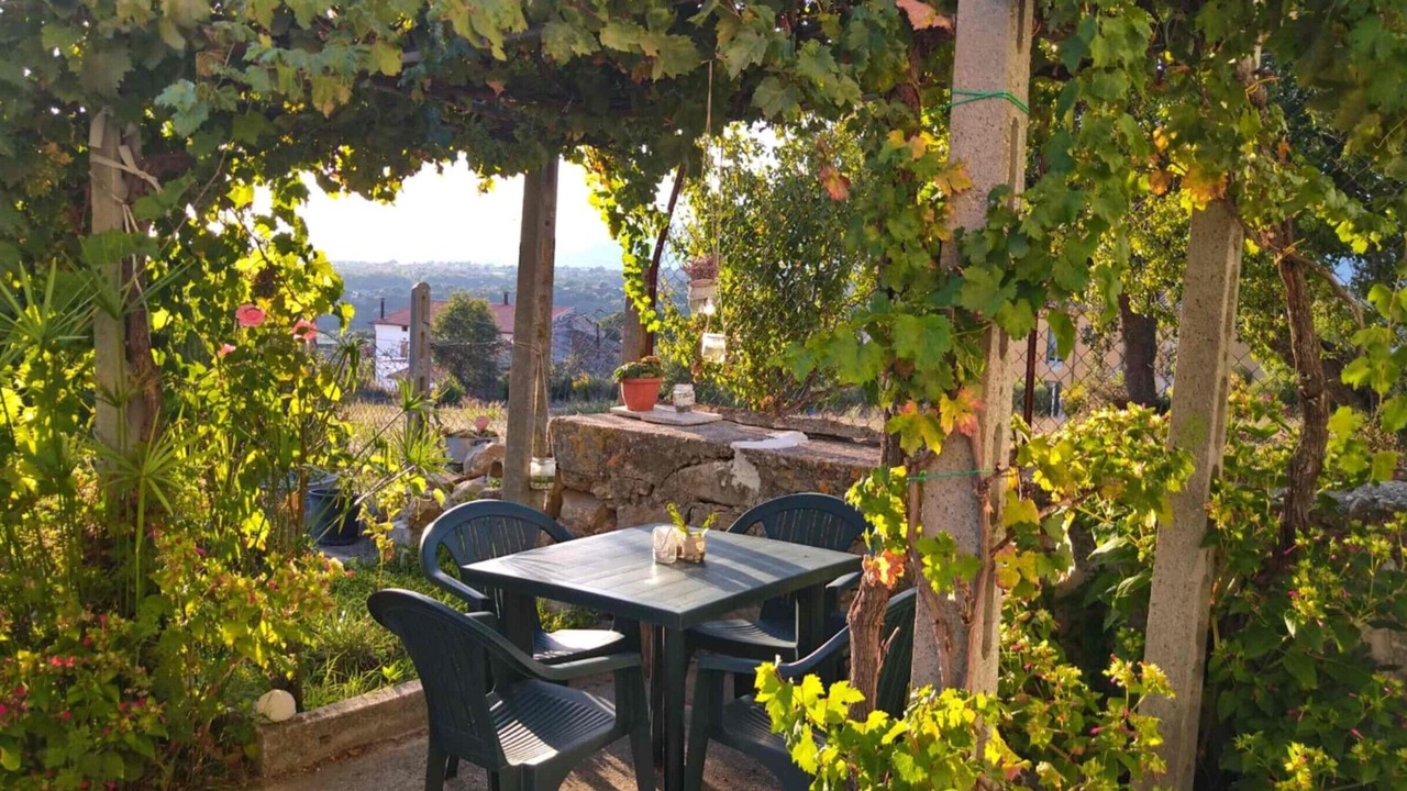 Photo of Outdoor in Serre