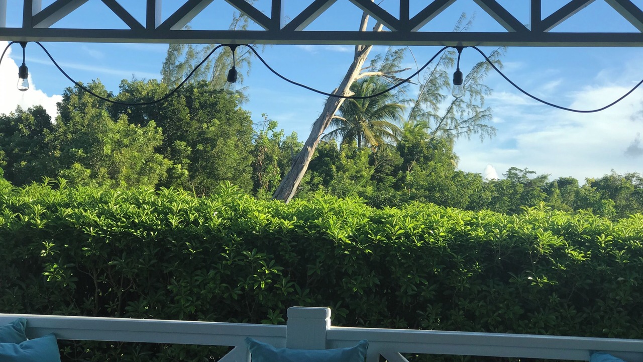 Photo of Outdoor in Gibbes