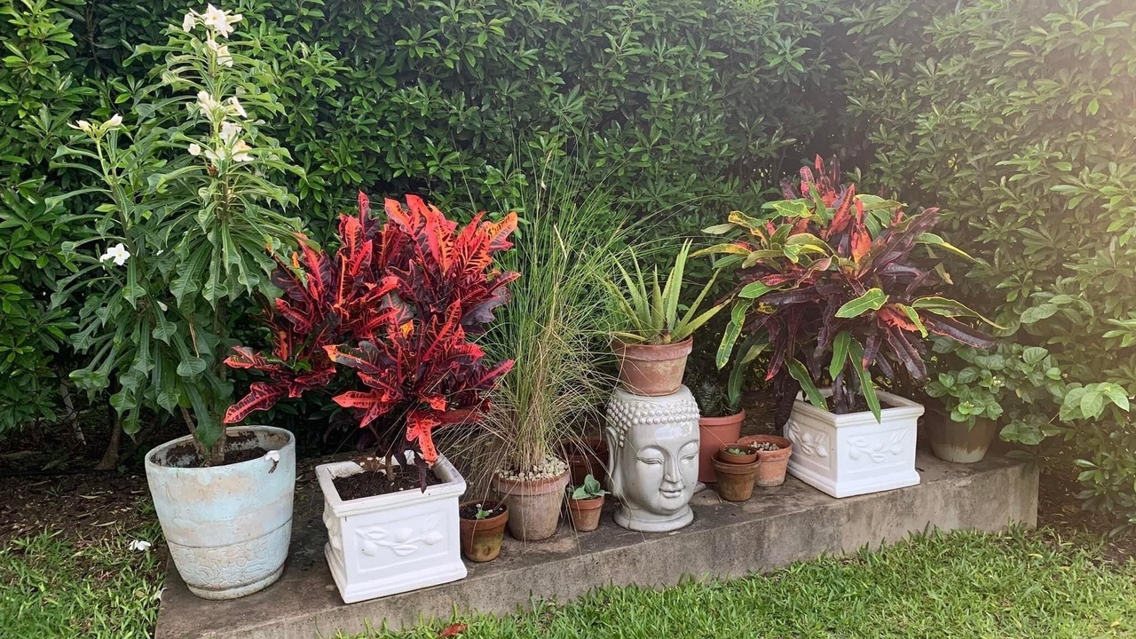 Photo of Outdoor in Gibbes