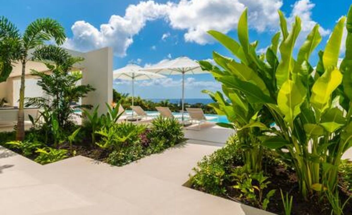 Photo of Outdoor in Weston
