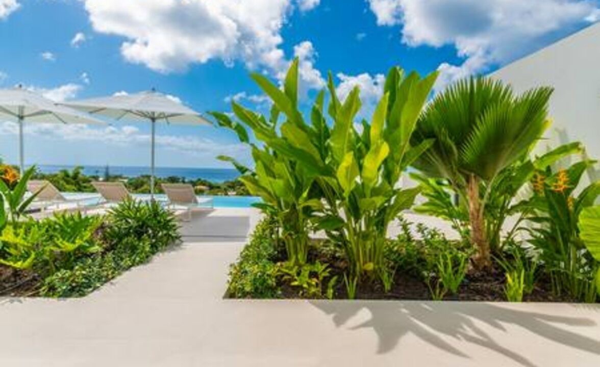Photo of Outdoor in Weston