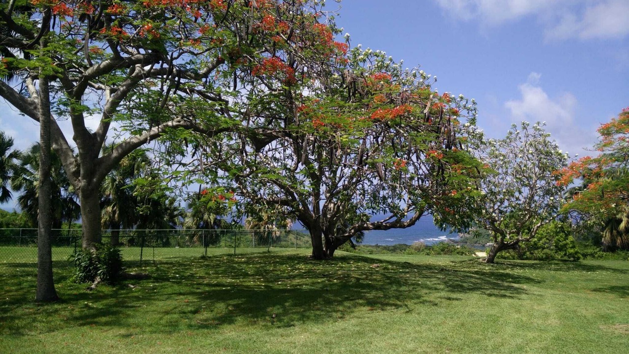 Photo of Outdoor in West Coast