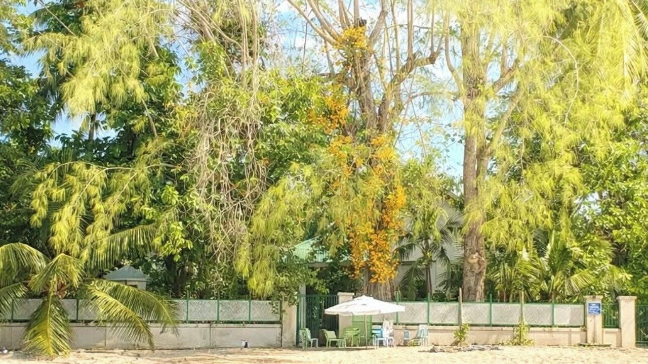 Photo of Others in Sandy Lane