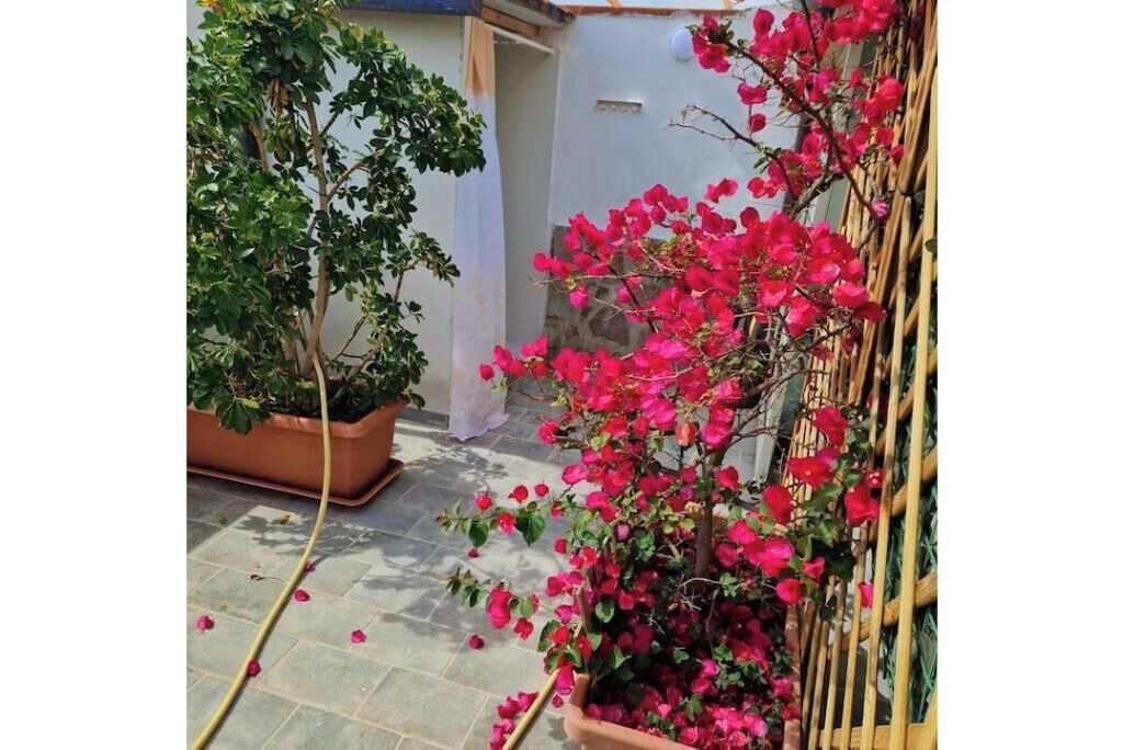 Photo of Outdoor in Palinuro