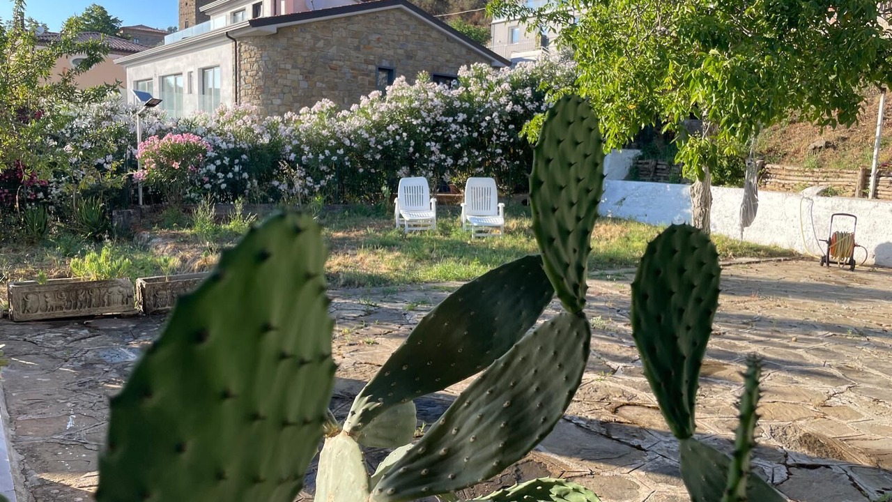 Photo of Outdoor in San Mauro Cilento