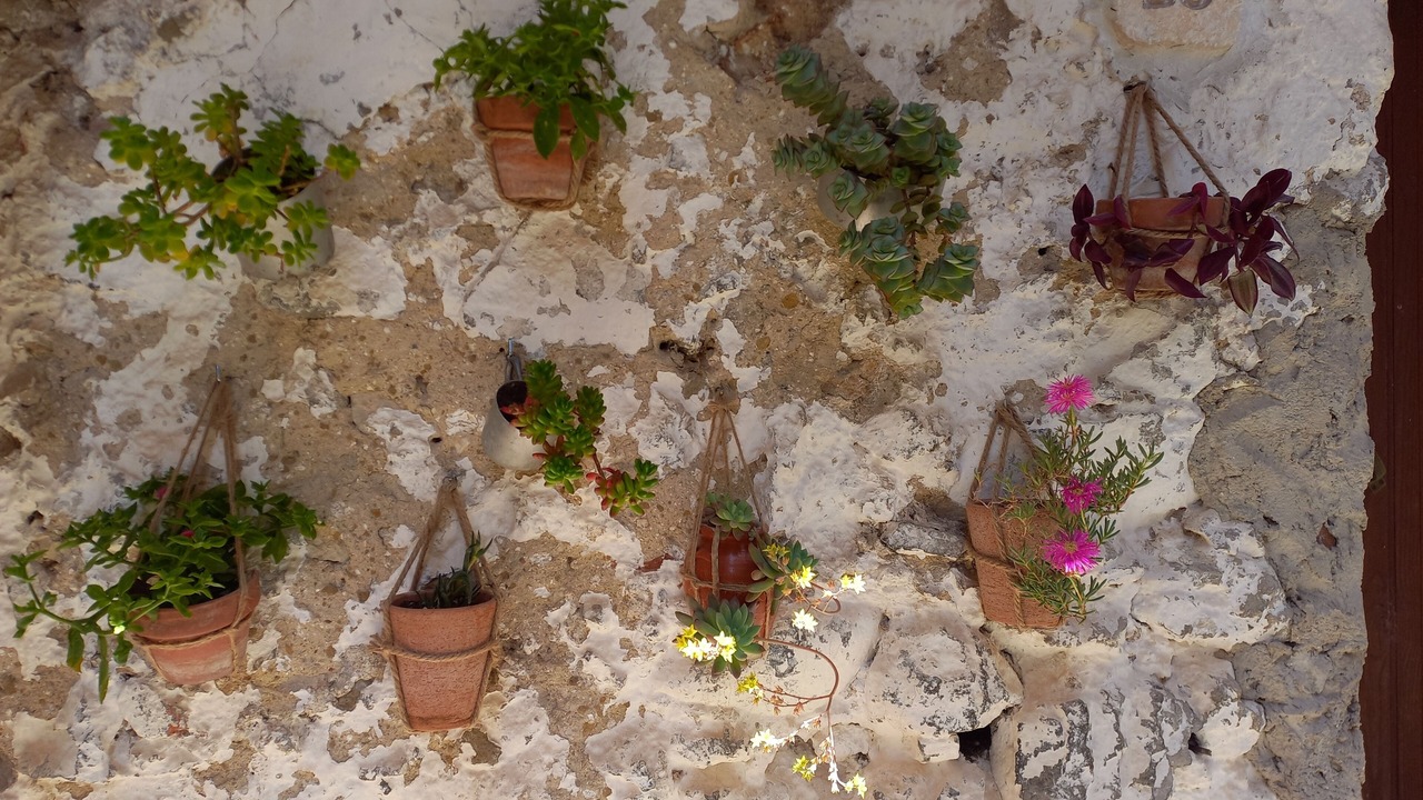 Photo of Outdoor in Corleto Monforte