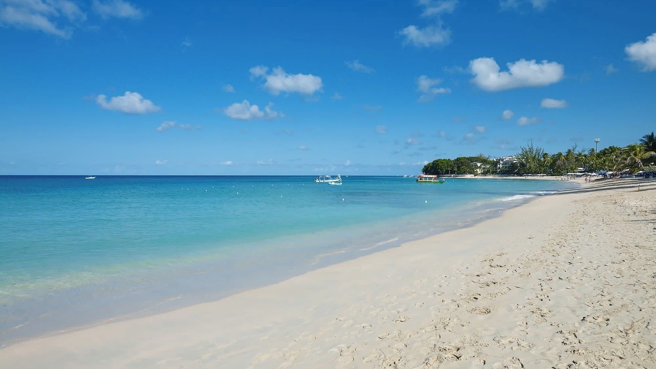 Photo of Others in Old Trees Bay