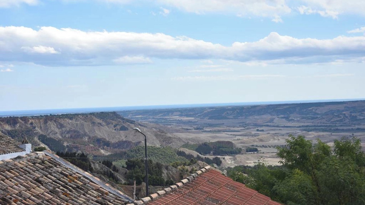 Photo of Others in Macchia