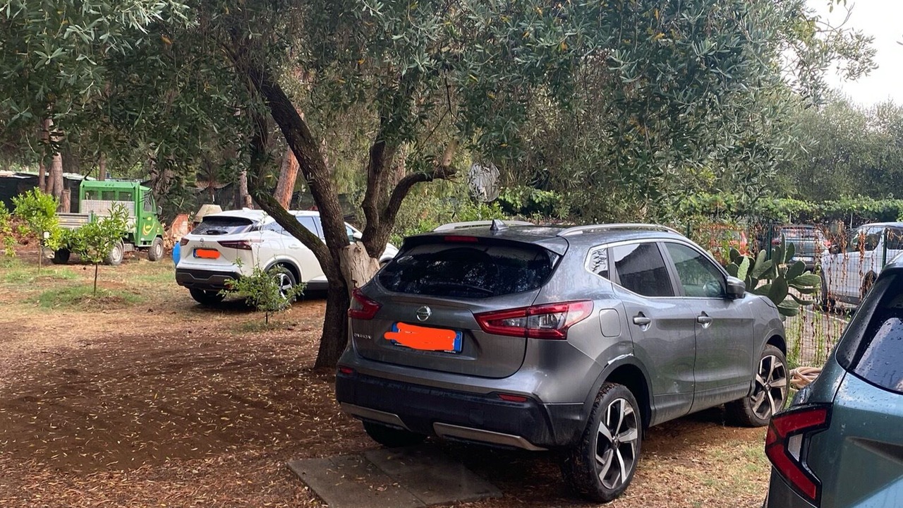 Photo of Outdoor in Palinuro