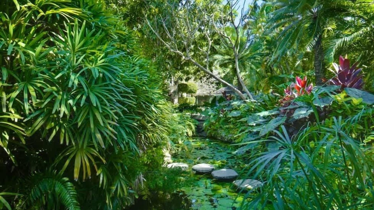 Photo of Outdoor in Weston