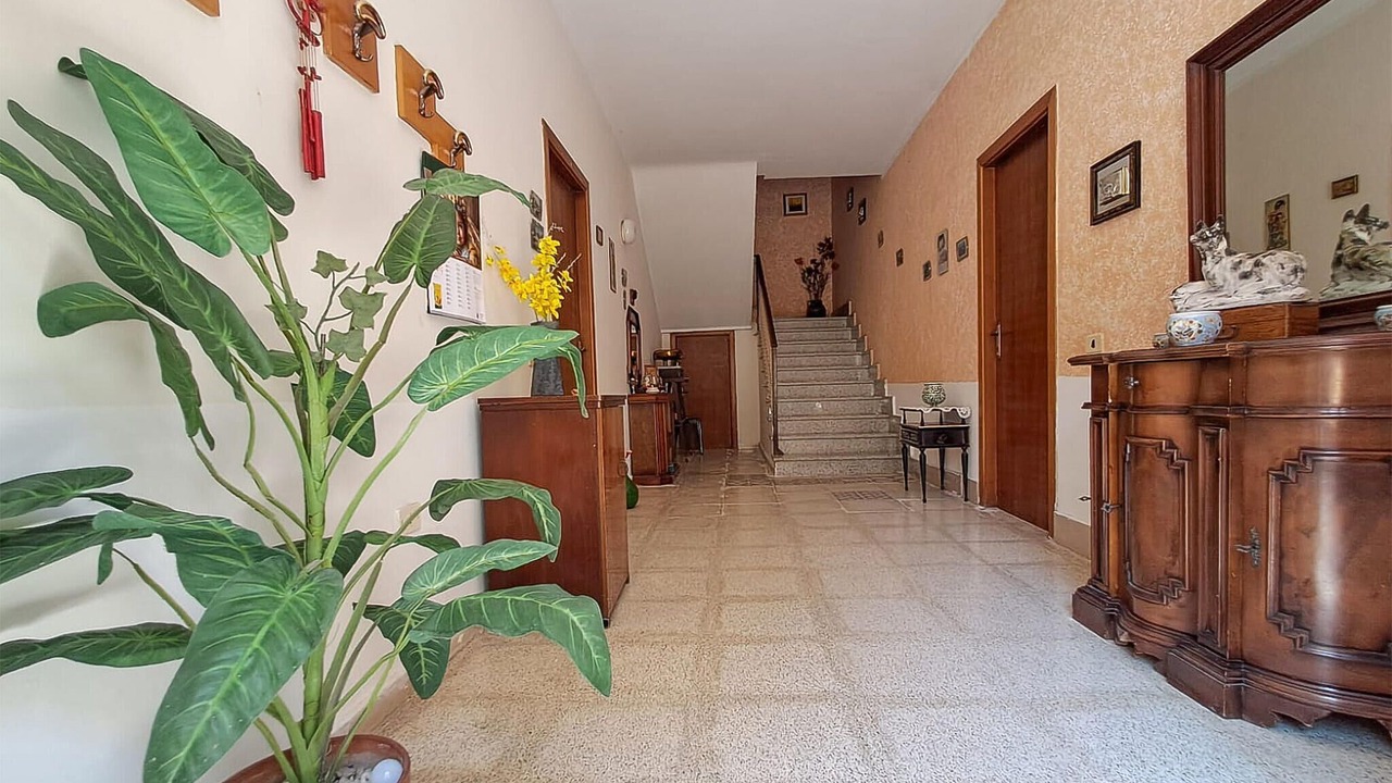 Photo of Others in Senerchia