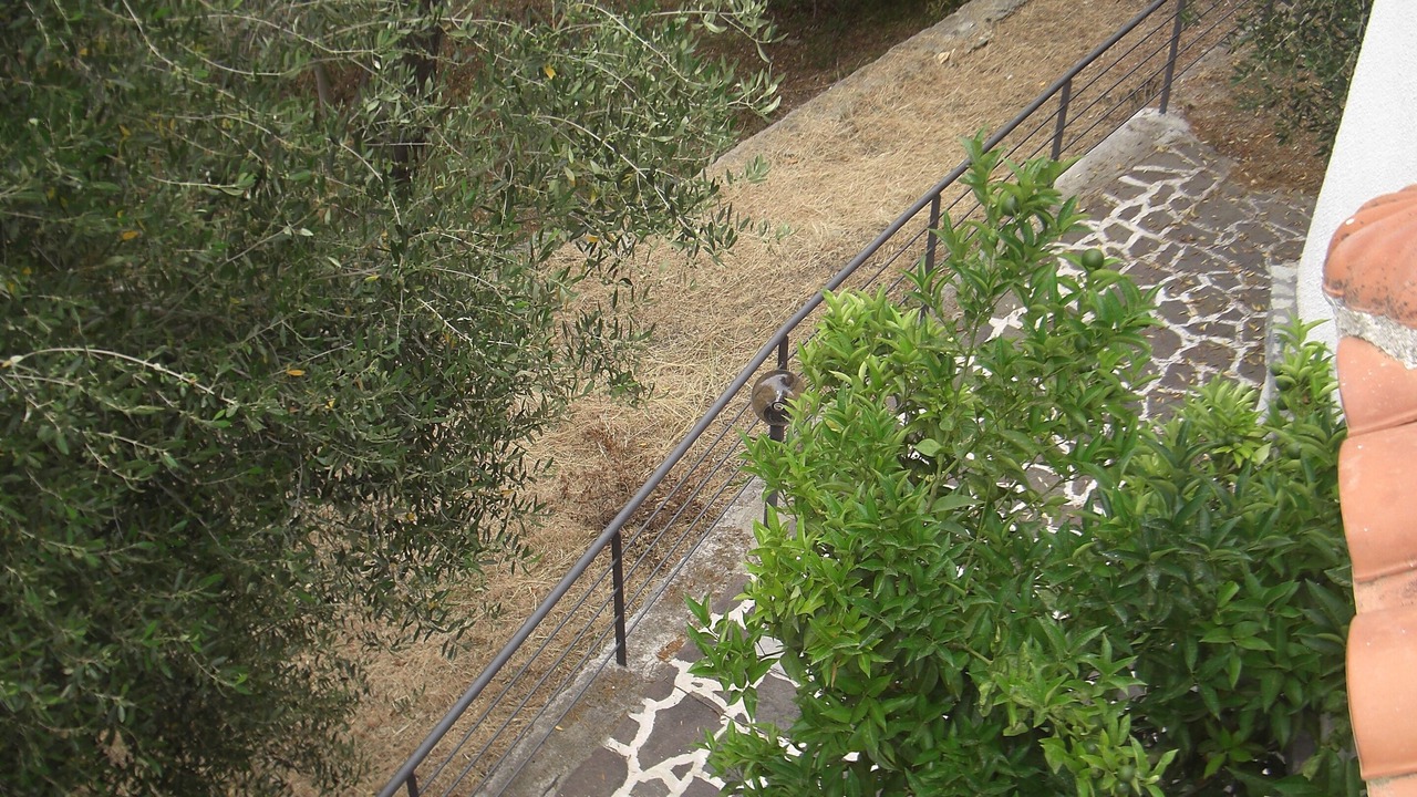 Photo of Outdoor in Marina di Pisciotta