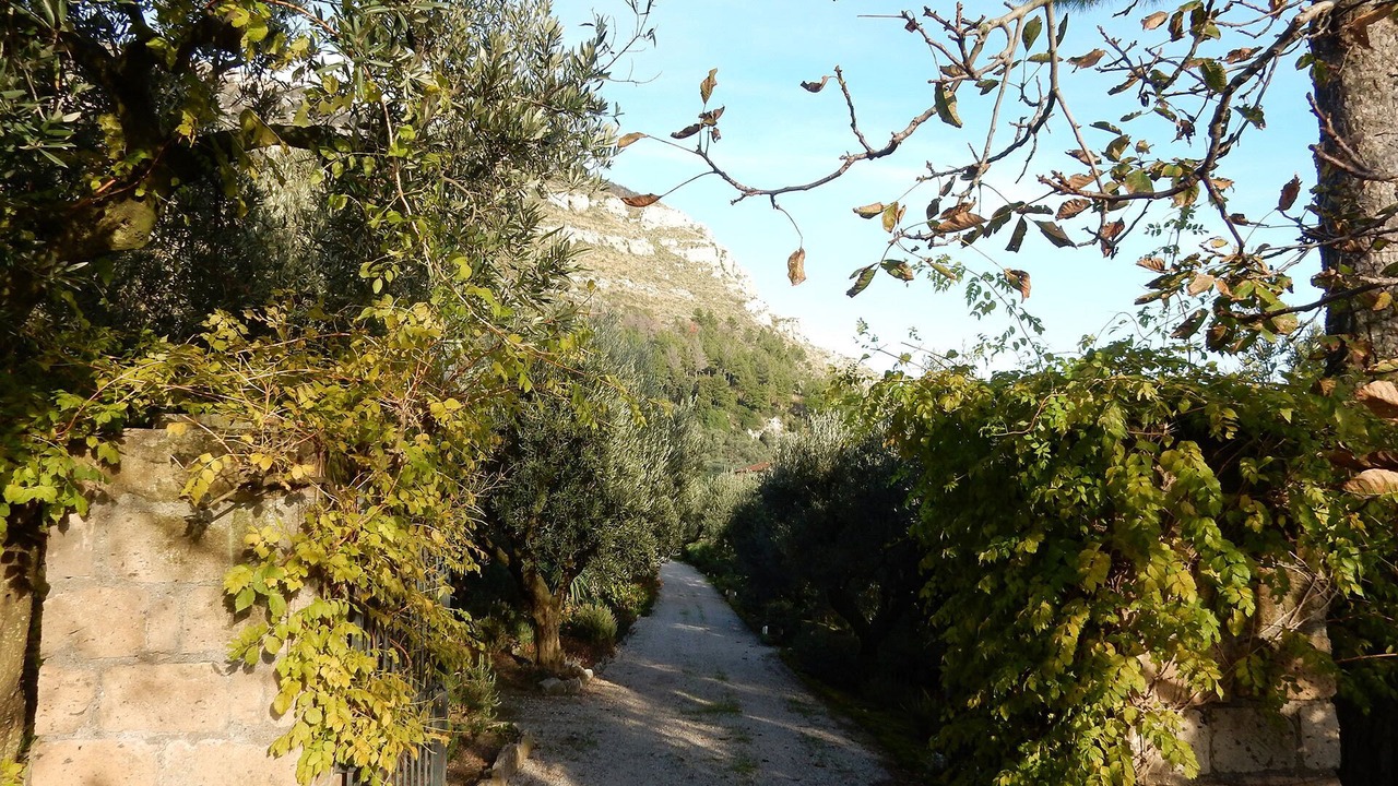 Photo of Outdoor in San Pietro