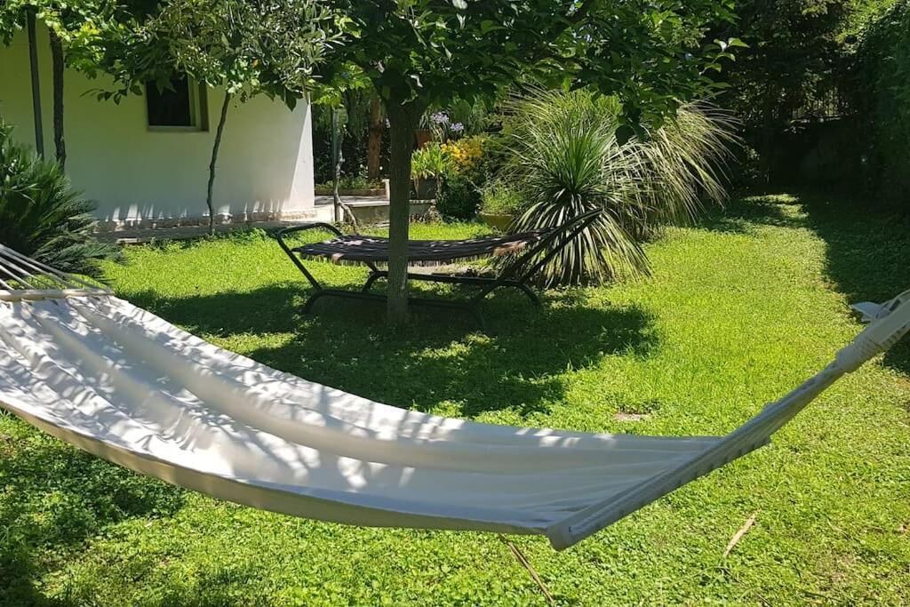 Photo of Outdoor in Modugno