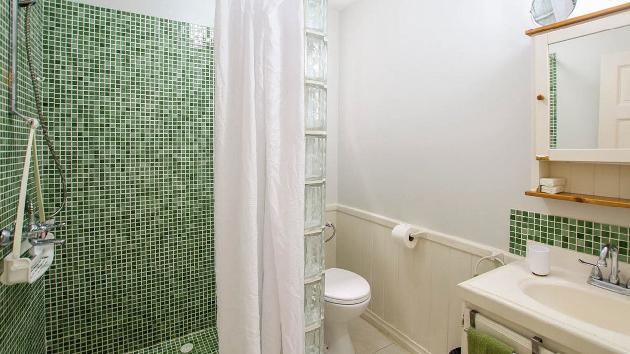 Photo of Bathroom in Speightstown