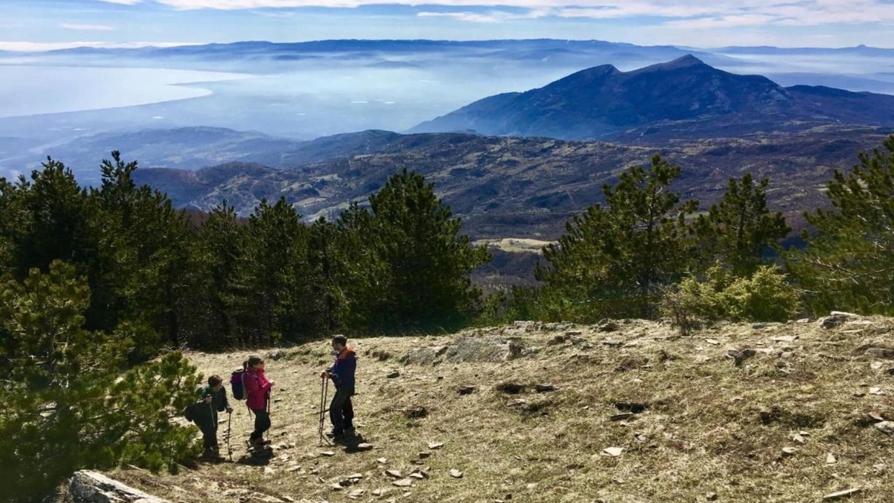 Photo of Others in Albidona