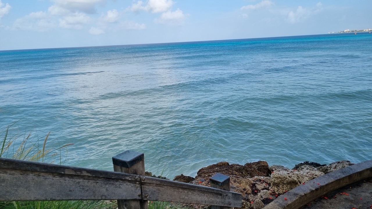 Photo of Outdoor in Atlantic Shores