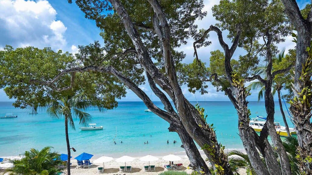 Photo of Others in Old Trees Bay