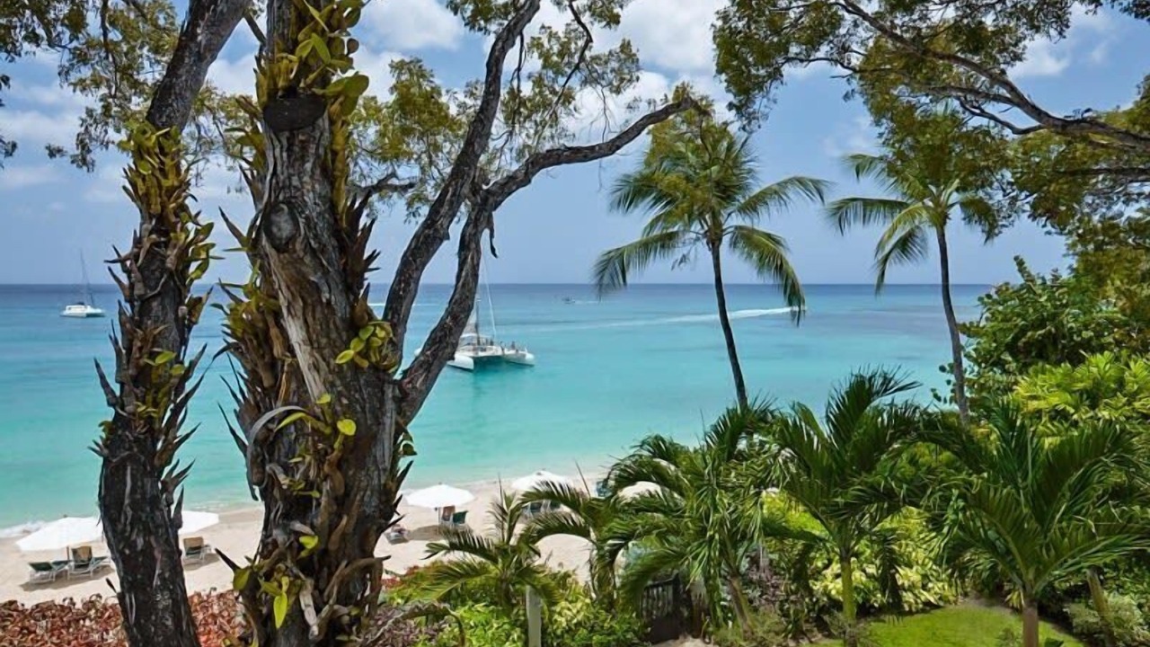 Photo of Others in Old Trees Bay