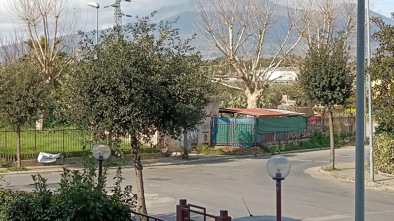 Photo of Others in Pompei