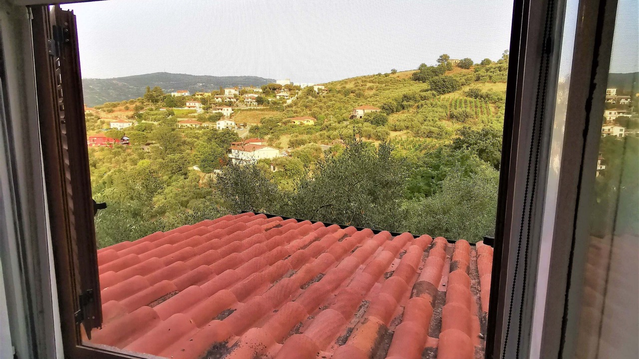 Photo of Others in Perdifumo