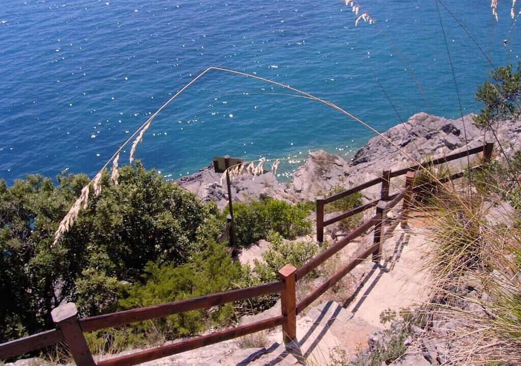 Photo of Others in Scario