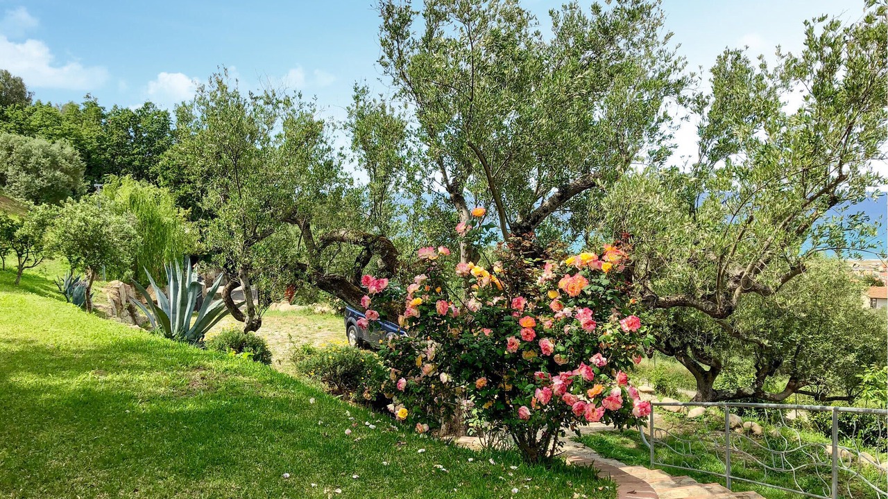 Photo of Others in Ascea