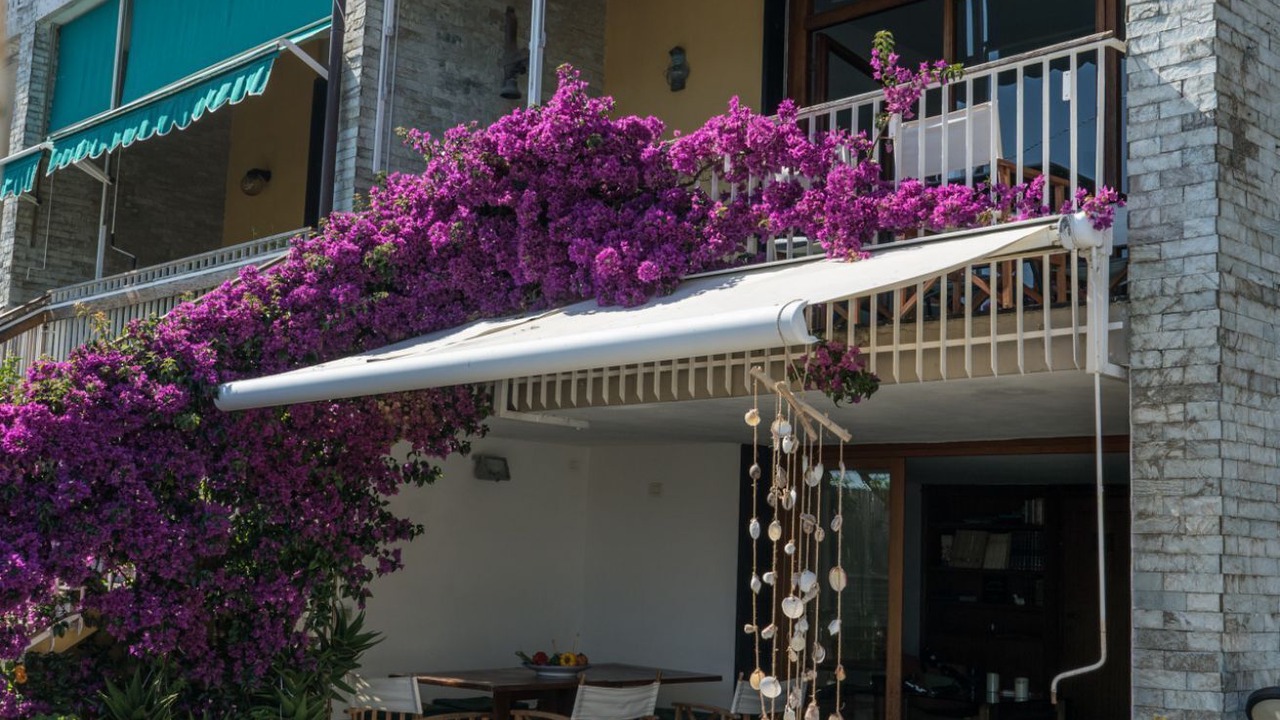 Photo of Outdoor in Portovenere