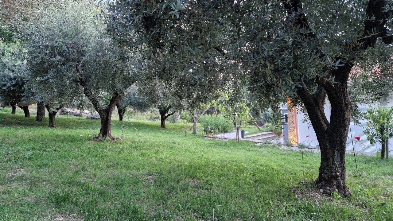 Photo of Outdoor in Capaccio-Paestum